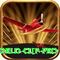 2019 world cup Master New