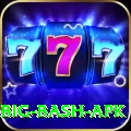 bbl big bash apk Pro1 v5.4.7