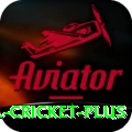 bbl cricket Deluxe Latest v4.8.3