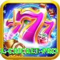 bbl cricket King Slots