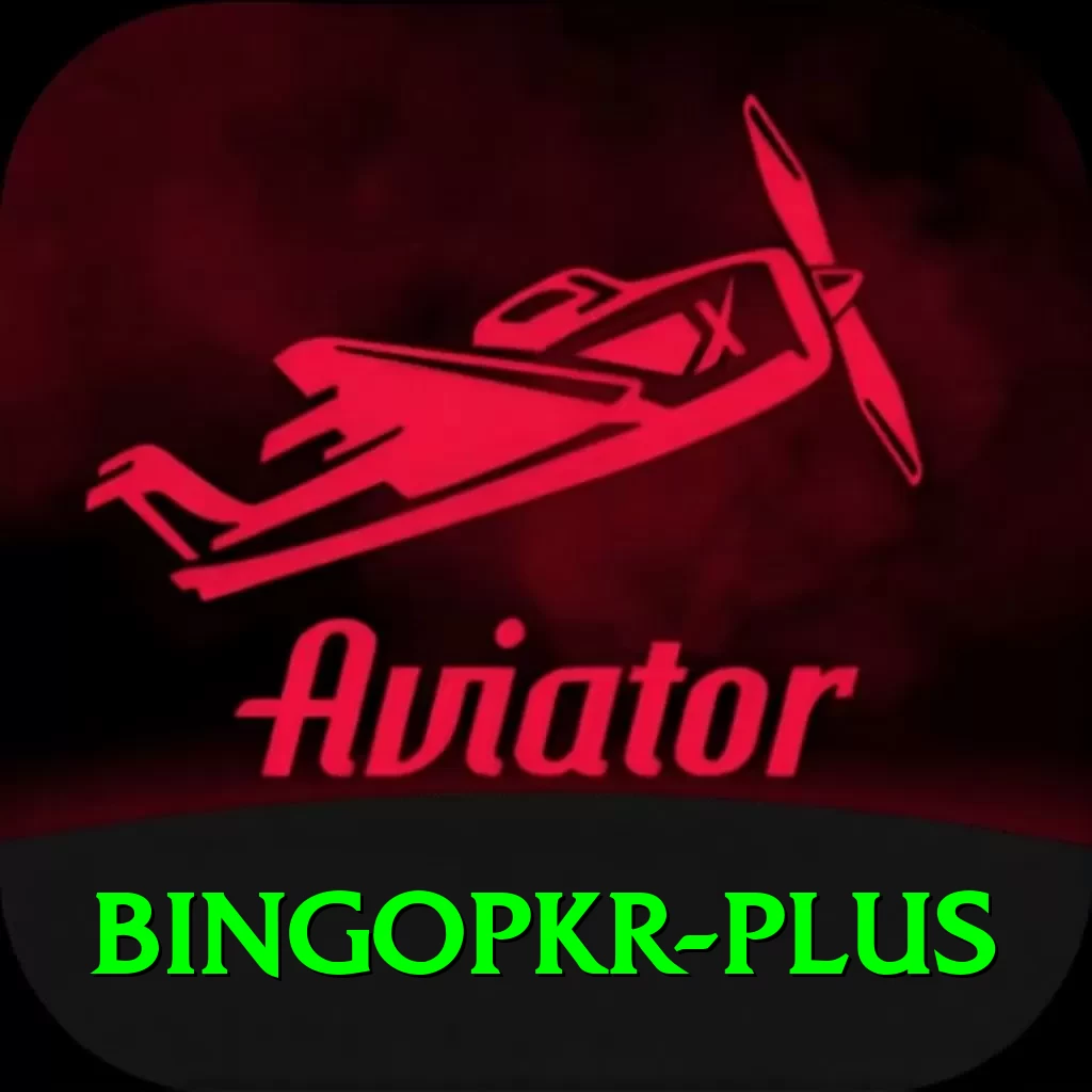 bingopkr Plus v4.8.9 - 2