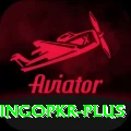 bingopkr Plus v4.8.9