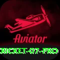 cricket 07 Deluxe Gaming App