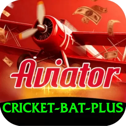 cricket bat Champion v2.6.6 - 2