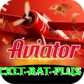 cricket bat Champion v2.6.6
