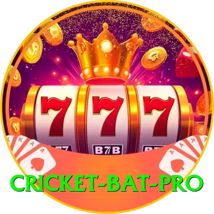 cricket bat Deluxe v5.8.8 - 2