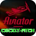 cricket pitch Elite v2.2.4