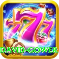 david gower Elite v5.1.0