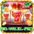 david wiese Premium - Casino & Slots