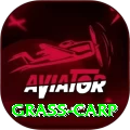 grass carp Elite v4.1.2