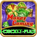 india bangladesh cricket Pakistan Extreme v1.2.1