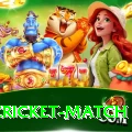 india cricket match Elite v1.6.9