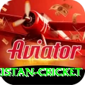 india pakistan cricket VIP Pro v4.3.1