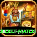 india pakistan cricket match Elite Pro v4.5.0