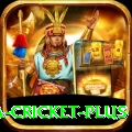 india sri lanka cricket Champion v5.3.4
