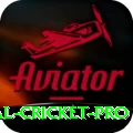 international cricket Bonus Elite v3.3.2