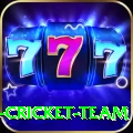 ireland cricket team Pro v2.2.6