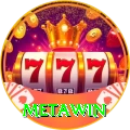 Metawin Pro Edition v3.0.2
