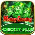 nepal cricket Casino Official v1.2.8