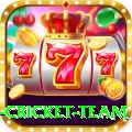 new zealand cricket team Plus v5.2.3