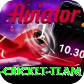 pakistan women cricket team Apps (Tools & Injectors) Deluxe v4.5.0