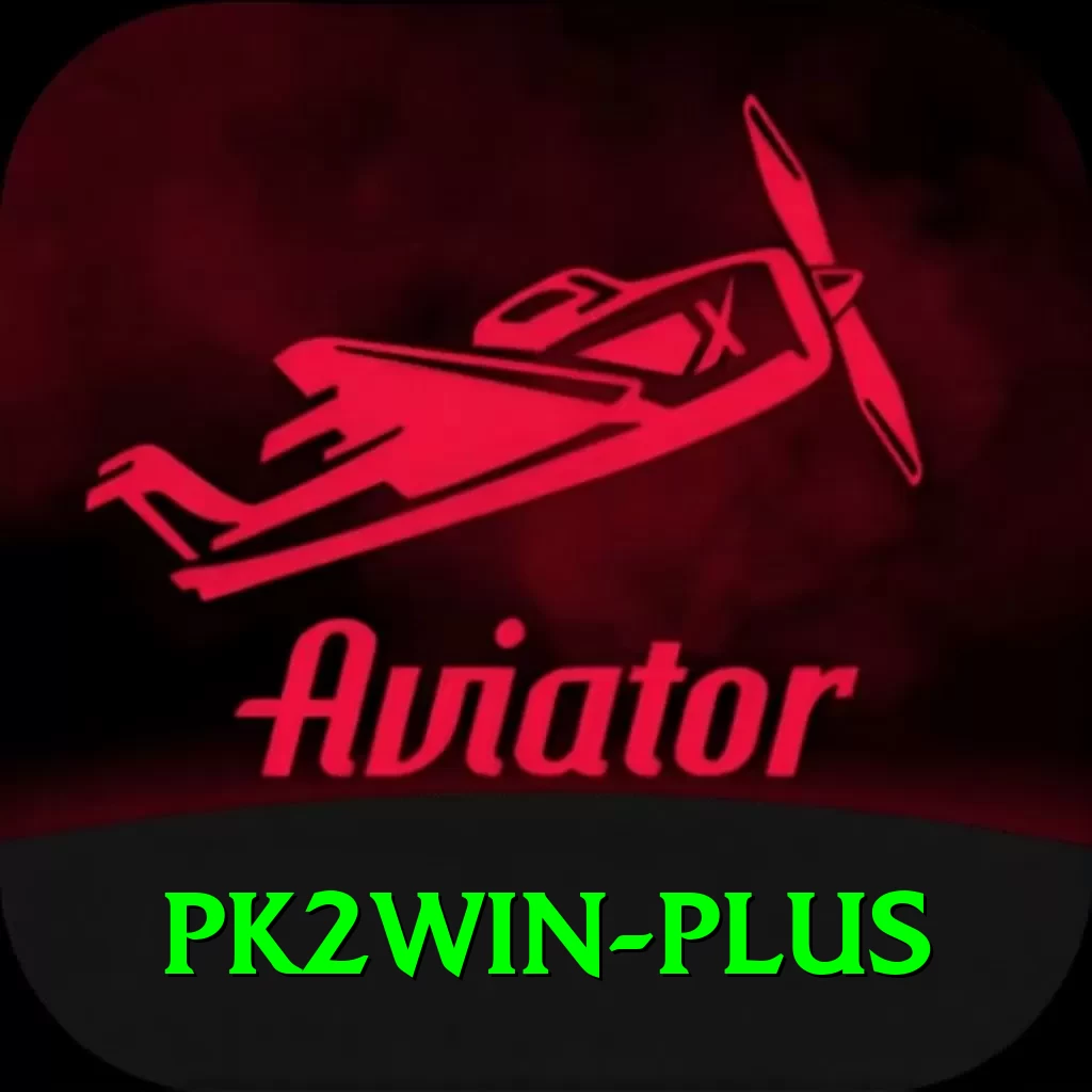 pk2win Pro1 v1.4.5 - 2