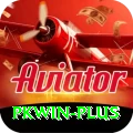 pkwin Pro v1.0.6