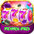 pkwin Pro v3.0.2