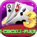 play cricket Live Casino Pro