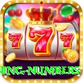 powerball jackpot winning numbers Games (Casino & Earning) VIP v1.1.8