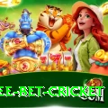 risk free bet cricket Pro Edition v3.5.7