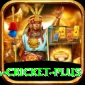 sa cricket Official v4.9.2