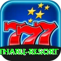 sauraha tharu resort Deluxe v5.8.7