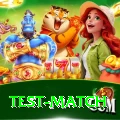 test match Pro v5.5.7