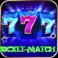 to day cricket match Pro Edition v1.3.9