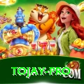 tojay Master Pro v1.3.8