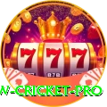 willow cricket - Ultimate Edition v4.0.0