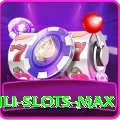Winli Slots Pro New