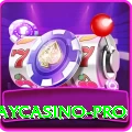 yaycasino Premium 2024